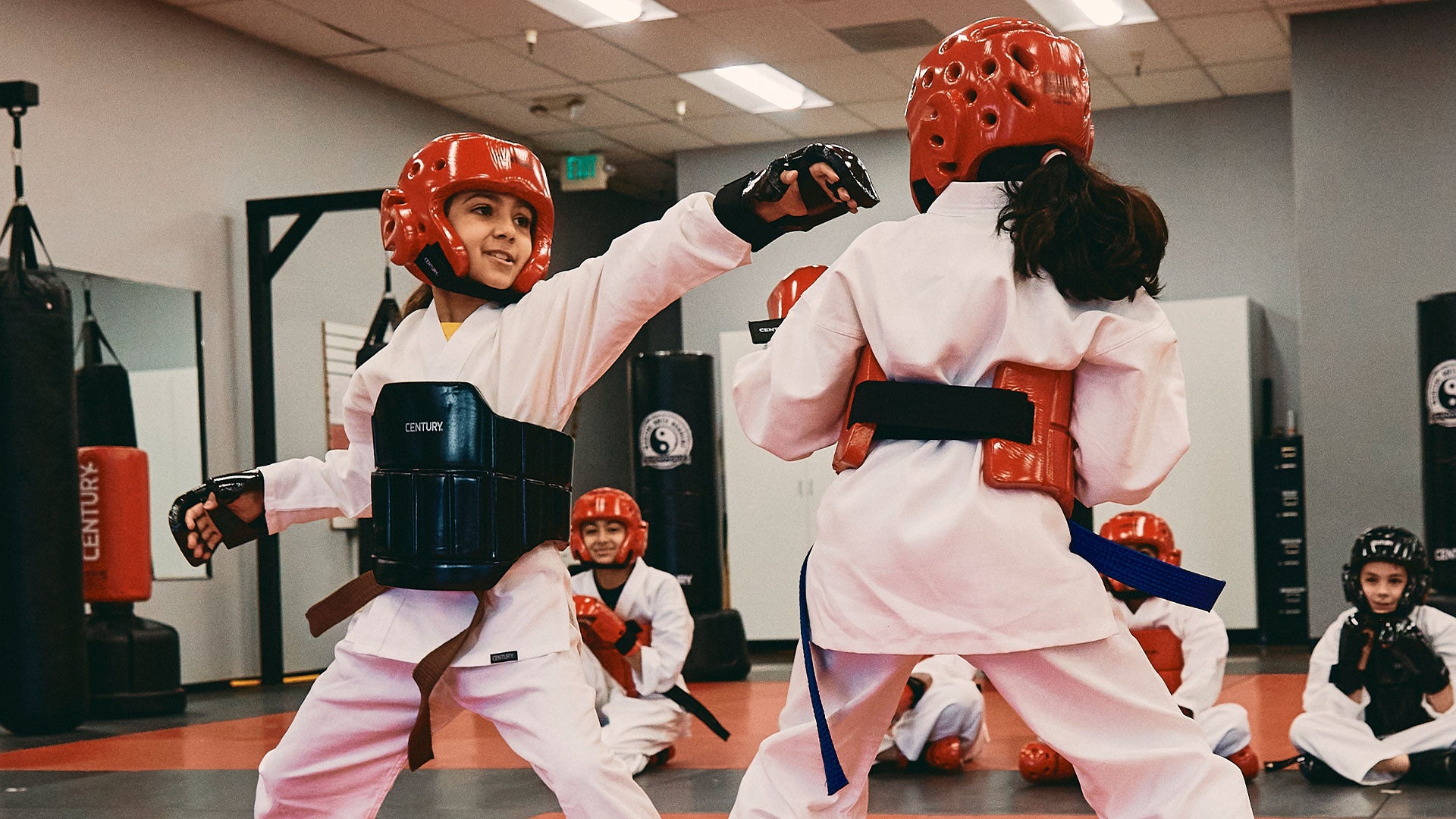 Sparring Gear