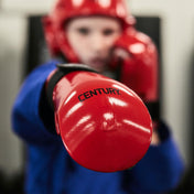 Century Punches