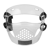 Evolution Face Shield
