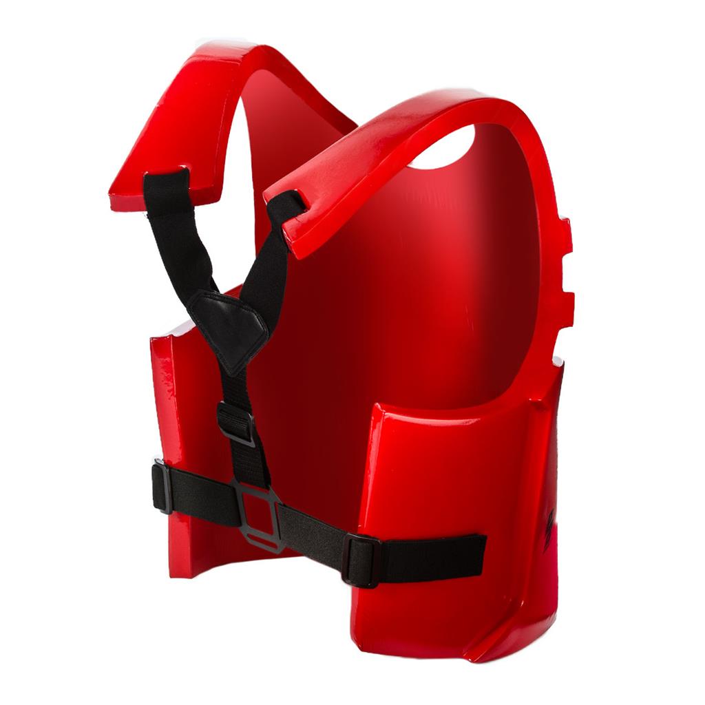 P2 Chest Guard
