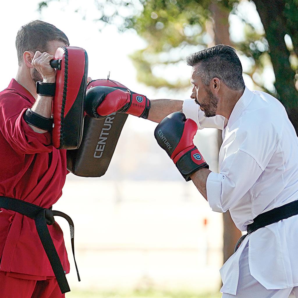 Drive Boxing Gloves