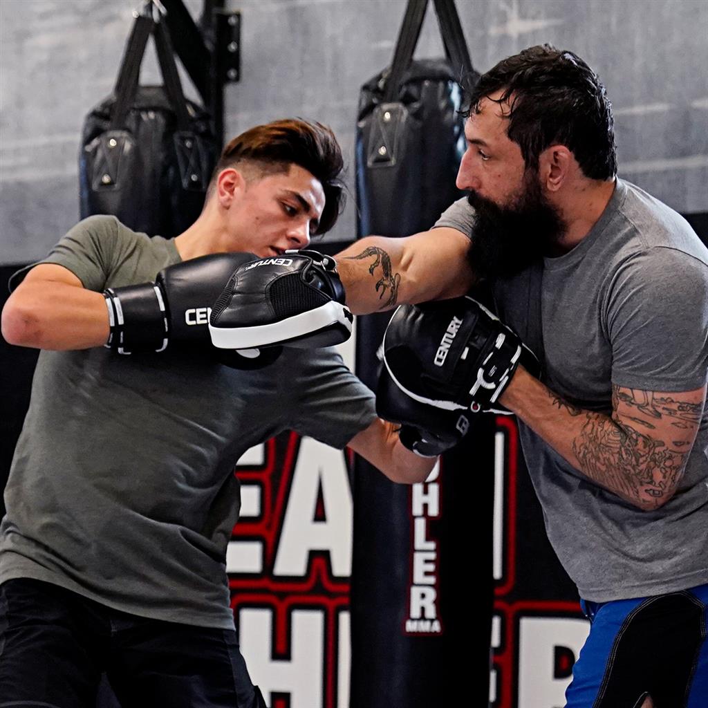 Creed Short Punch Mitts